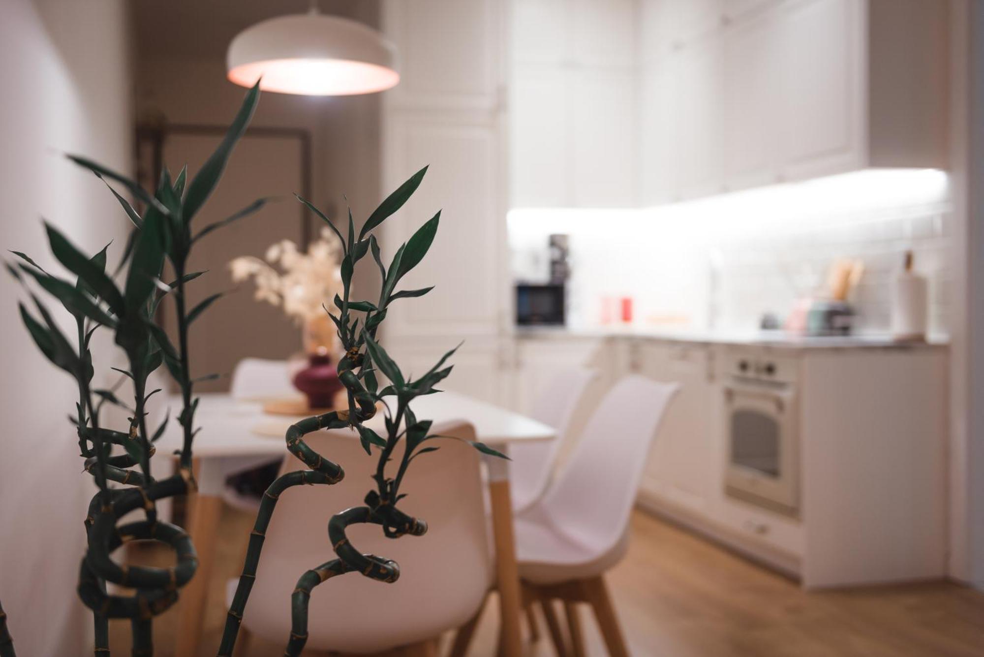 Apartament Tam Centre Luxury Serviced Tirana